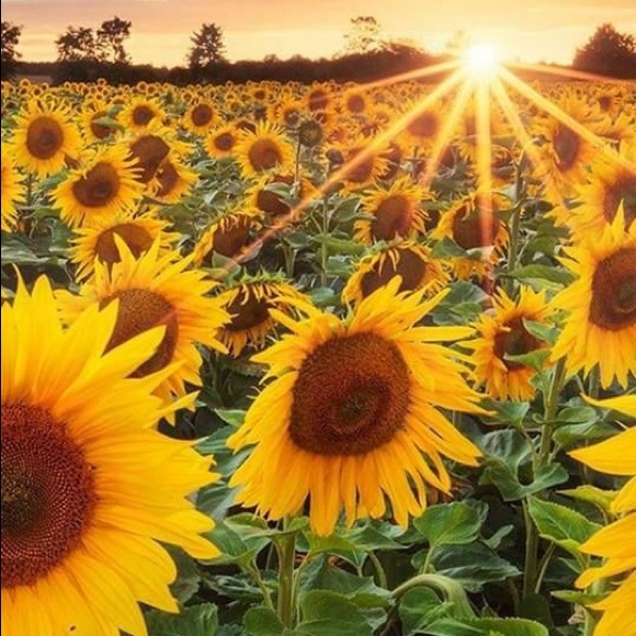 Meet your Posher, Mayra - Picture 1 of 1